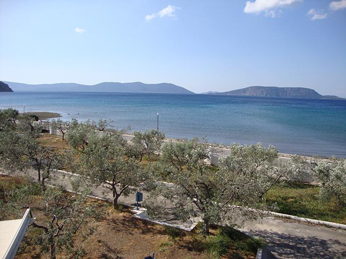 Dardiza Stay Ermioni Bagian luar foto
